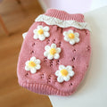 Cozy Sweater for Cats and Dogs to Stay Warm
