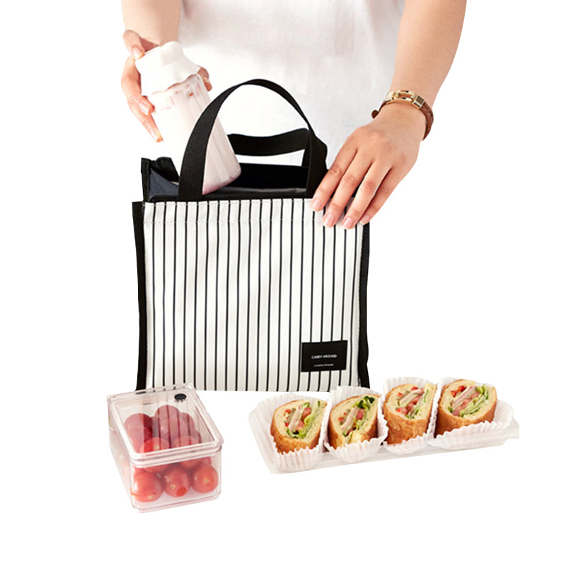 Fashionable Mini Insulated Lunch Bag for Picnics