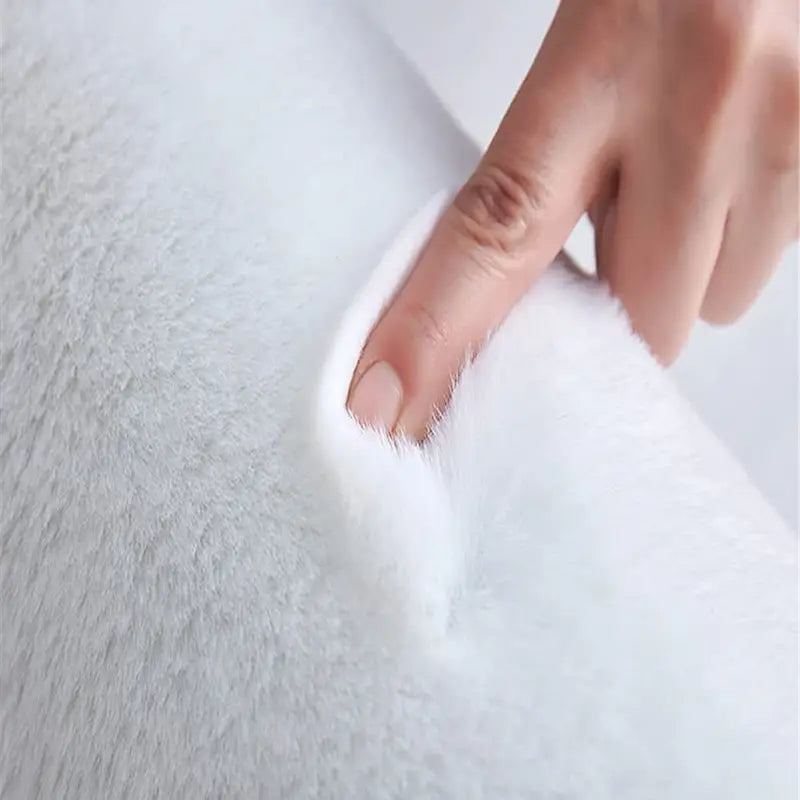 Simple Plush Area Rug for Living Room and Bedroom