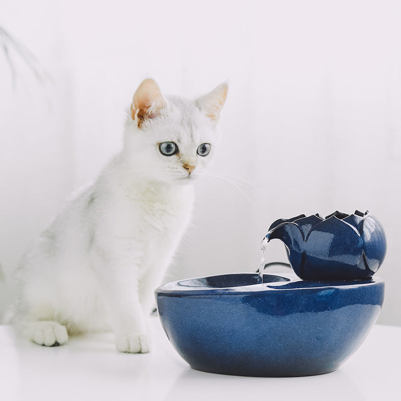 Fontaine à eau pour animaux de compagnie (chats et chiens) avec circulation