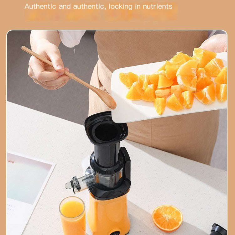 Home Automatic Multi-functional Juicer for Fruits & Veggies