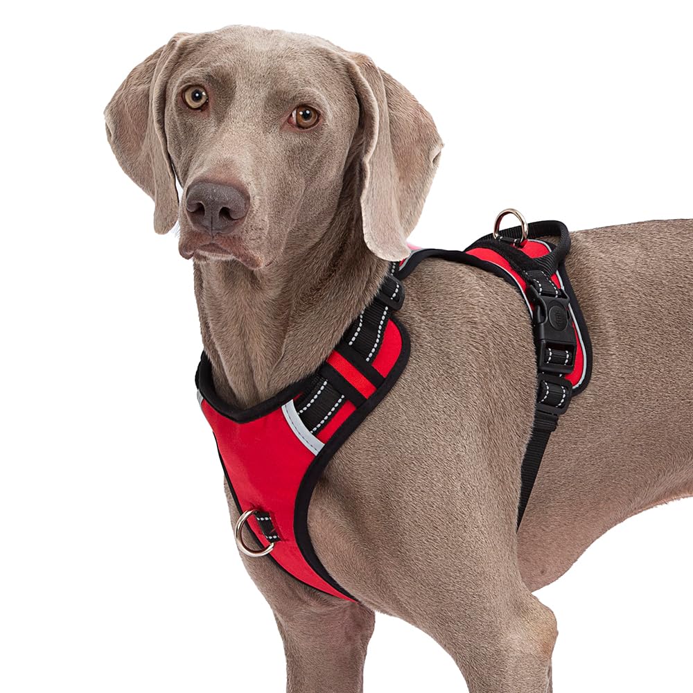 Harnais Tactique pour Chien Abuandi, Réfléchissant, Réglable avec Poignée, Contrôle Facile, Gilet pour Chien d'Assistance, Entraînement, Promenade, Harnais Anti-Traction pour Petits, Moyens et Grands Chiens, Plaque Nominale