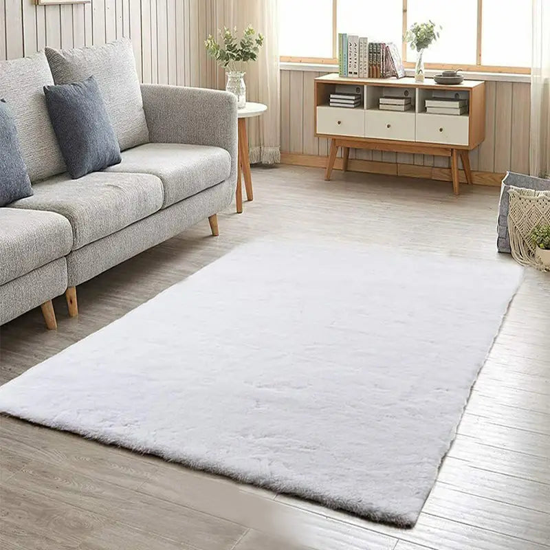 Simple Plush Area Rug for Living Room and Bedroom