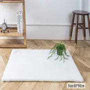 Simple Plush Area Rug for Living Room and Bedroom