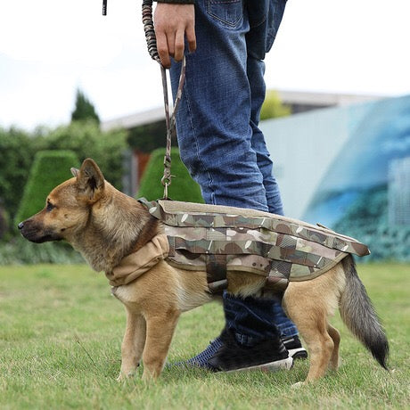 Tactical Dog Leash for Outdoor Training and Walking