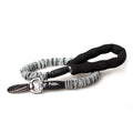 Dog Leash for Walking and Training