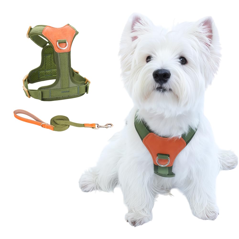 CHUNFENGX No Pull Dog Harness and Leash Set Front Clip Dog Harness Medium Sized Dog Training Harness Easy Walk Dog Harness for Small Medium Dog Harness (Green XS)