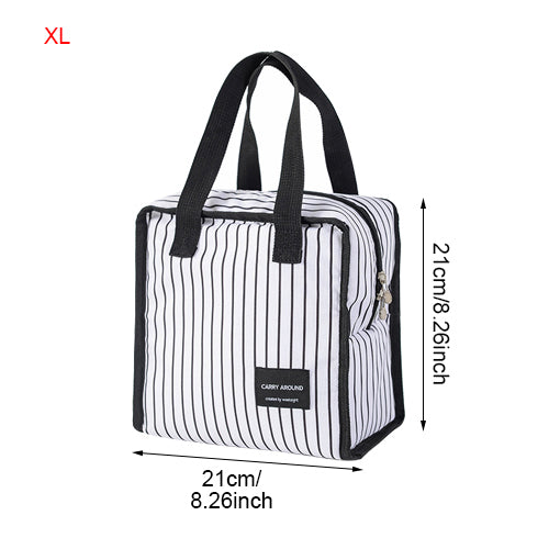 Fashionable Mini Insulated Lunch Bag for Picnics