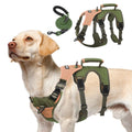 PUPTECK Escape Proof Dog Harness and Leash Set Upgraded No Pull Reflective Dog Vest with Lift Handle Easy Control Pet Harness for Medium Large Dogs Training Walking Running Green L