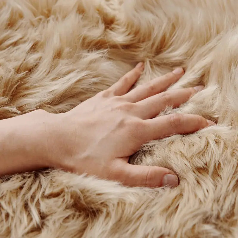 Ultra-Soft Khaki Plush Rug for Living Room and Bedroom
