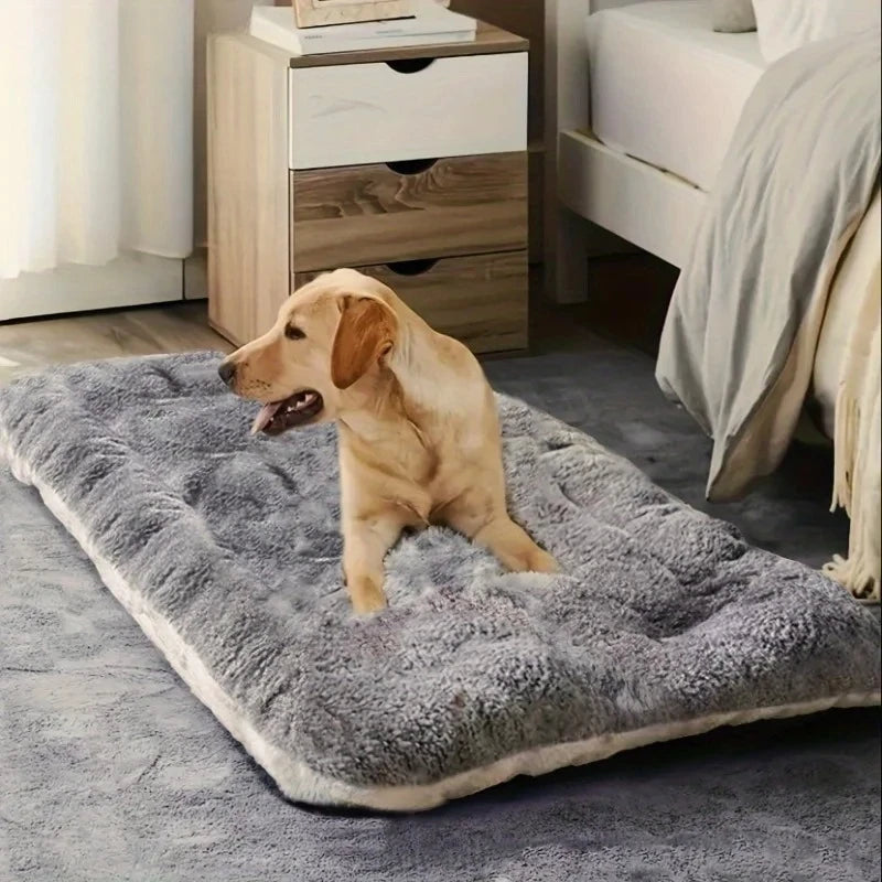 Plush Comfort Dog Sofa Bed